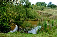 Lacul Forzing, Ocna Sugatag , Foto: WR