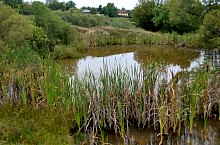 Lacul Forzing, Ocna Sugatag , Foto: WR