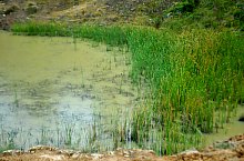 Lacul Mihaly, Ocna Sugatag , Foto: WR