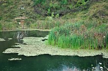 Lacul Mihaly, Ocna Sugatag , Foto: WR
