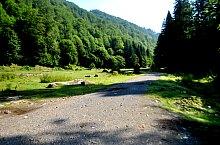 Borcutul sau Izvorul pulsatoriu, Poiana Botizii , Foto: WR