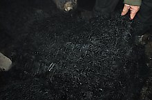 Moara Lorinc, Sarbi , Foto: WR