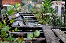 Moara Lorinc, Sarbi , Foto: WR