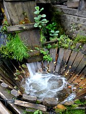 Moara Lorinc, Sarbi , Foto: WR