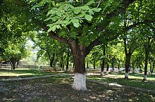 Conacul Kemeny, Chiesd , Foto: WR