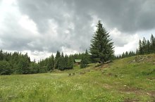 Poiana Runcul Ars, Foto: Mezei Elemér