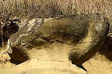 Firtănuș, Geological formations, Firtănuș , Photo: Csedő Attila