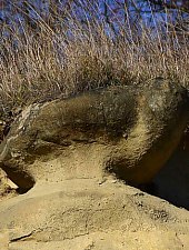 Firtănuș, Geological formations, Firtănuș , Photo: Csedő Attila