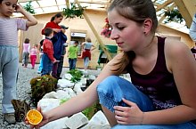 Casa Fluturilor, Praid , Foto: Asociația Geografică Vulticulus