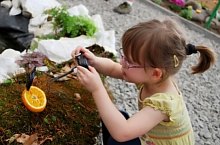 Casa Fluturilor, Praid , Foto: Asociația Geografică Vulticulus