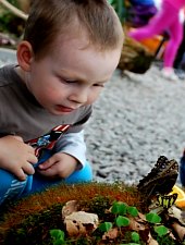 Casa Fluturilor, Praid , Foto: Asociația Geografică Vulticulus