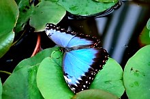 Casa Fluturilor, Praid , Foto: Asociația Geografică Vulticulus