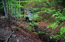 Cetatea Rapsone, Praid , Foto: Csedő Attila