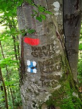 Cetatea Rapsone, Praid , Foto: Csedő Attila
