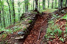Cetatea Rapsone, Praid , Foto: Csedő Attila
