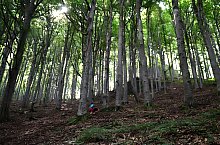 Cetatea Rapsone, Praid , Foto: Csedő Attila