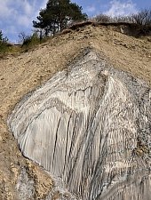 Cheile Sarii, Praid , Foto: Paul Ion