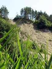 Cheile Sarii, Praid , Foto: Mezei Elemér