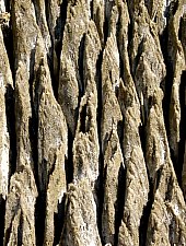 Cheile Sarii, Praid , Foto: Mezei Elemér