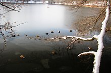 Lacul Ursu, Sovata , Foto: Dénes László