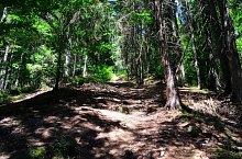 Fortress Tartod, Vărșag , Photo: Csedő Attila