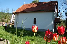 Capela Bándi, Zetea , Foto: Miklós Tünde