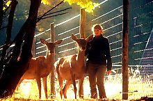 Parcul de animale salbatice Ivo, DN13a Balauseri-Miercurea Ciuc, Foto: Septimiu Bizo