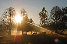 Parcul de animale salbatice Ivo, DN13a Balauseri-Miercurea Ciuc, Foto: Ivoi vadaspark