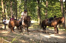 Centrul de echitatie cu cai islandezi Ivo, DN13a Balauseri-Miercurea Ciuc, Foto: Ivoi vadaspark