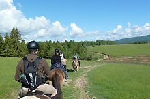 Centrul de echitatie cu cai islandezi Ivo, DN13a Balauseri-Miercurea Ciuc, Foto: Ivoi vadaspark