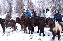 Centrul de echitatie cu cai islandezi Ivo, DN13a Balauseri-Miercurea Ciuc, Foto: Ivoi vadaspark