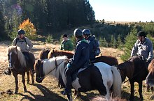 Centrul de echitatie cu cai islandezi Ivo, DN13a Balauseri-Miercurea Ciuc, Foto: Ivoi vadaspark