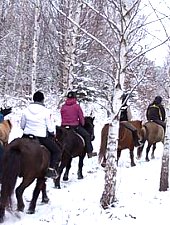 Centrul de echitatie cu cai islandezi Ivo, DN13a Balauseri-Miercurea Ciuc, Foto: Ivoi vadaspark