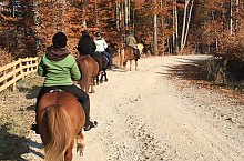 Centrul de echitatie cu cai islandezi Ivo, DN13a Balauseri-Miercurea Ciuc, Foto: Septimiu Bizo