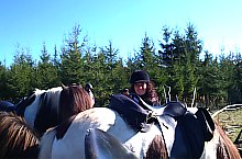 Centrul de echitatie cu cai islandezi Ivo, DN13a Balauseri-Miercurea Ciuc, Foto: Ivoi vadaspark