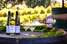 Crama Petry, Calimanesti , Foto: Petry Estate Winery