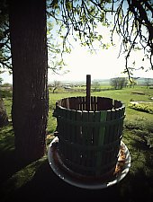Crama Petry, Calimanesti , Foto: Petry Estate Winery