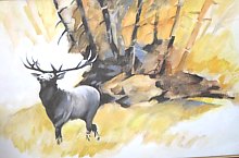 Galeria Balázs Imre, Satu Mare , Foto: Turisztikai Információs Iroda