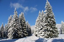 Pasul Vlahita, Pasul Vlahita , Foto: Csedő Attila