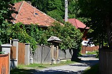 Tarnovita , Foto: Csedő Attila