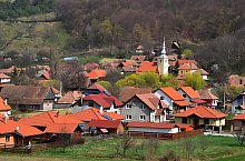 Tarnovita , Foto: Csedő Attila