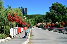 Tarnovita , Foto: Csedő Attila