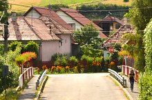 Tarnovita , Foto: WR