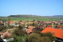 Tarnovita , Foto: Csedő Attila