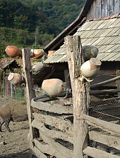 Muzeul satului, Vetca , Foto: WR