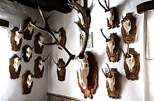 Casa Rustica Mica, Vetca , Foto: Fekete Klára