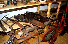 Village Museum, Viforoasa , Photo: WR