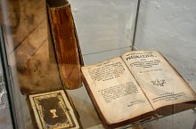 Village Museum, Viforoasa , Photo: WR