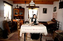 Village Museum, Viforoasa , Photo: WR