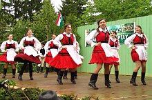 Festivalul Narciselor, Vlahita , Foto: Burus Tibor